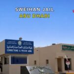 Al Satwa Bus Station Guide 2026: Routes & Timings