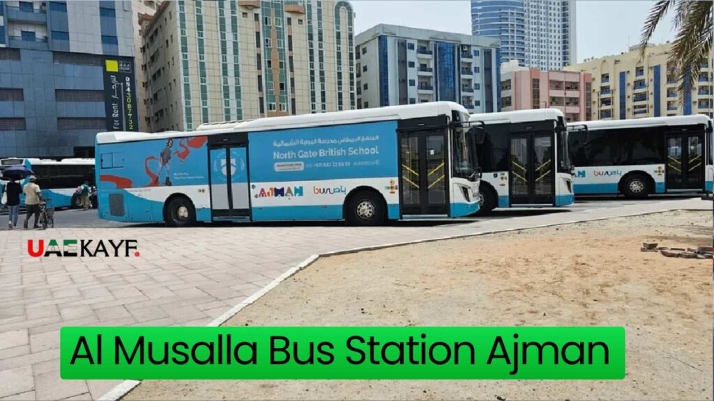 Al Musalla Bus Station Ajman Timings and Operating Hours