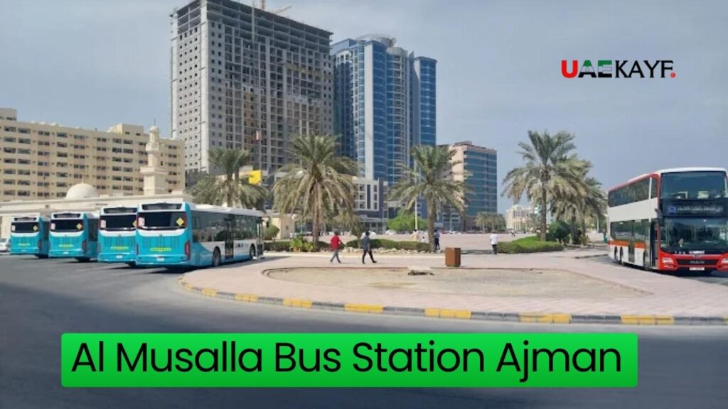 Al Musalla Bus Station Ajman – Timings, Route & location 2026
