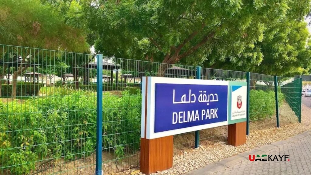 Delma Park Today – What's There Now
