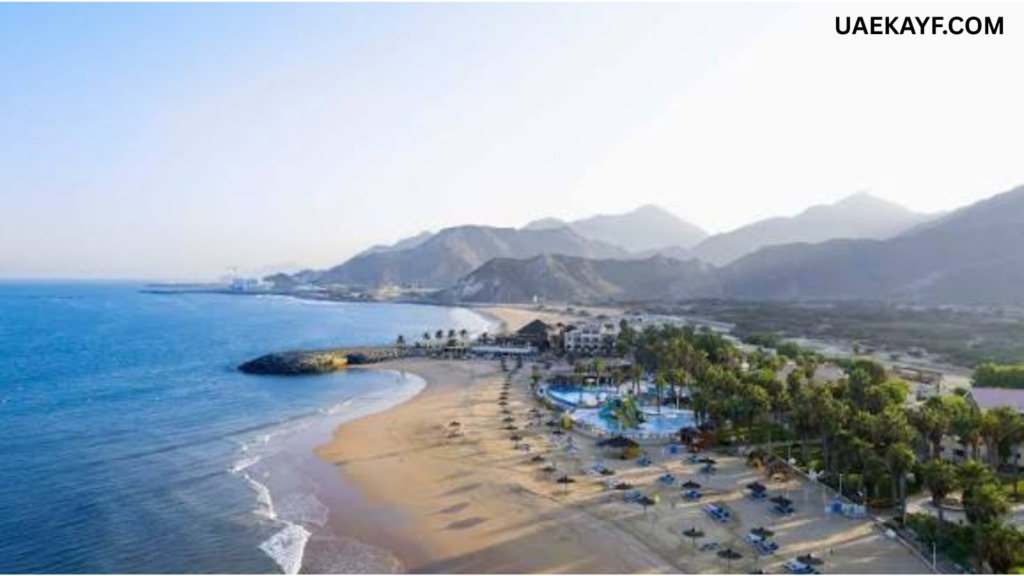 Al Aqah Beach, Fujairah