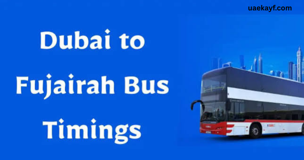 Dubai to Fujairah Bus Timing