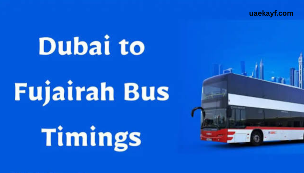 Dubai to Fujairah Bus Timing