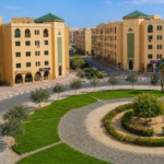 Palm Hypermarket: The Complete Shopper’s Guide to UAE’s